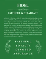 Fidel name meaning gift print in dark green