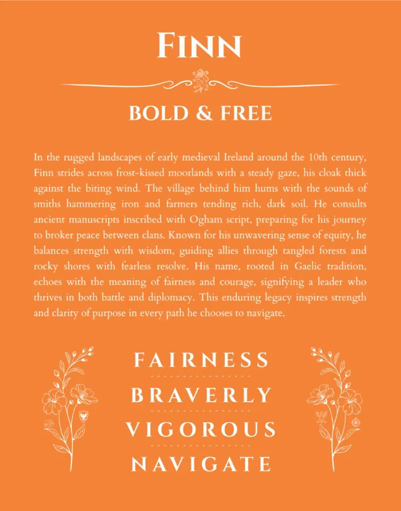 Finn custom name print for wall display in orange