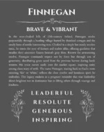 Finnegan custom name meaning print in gray