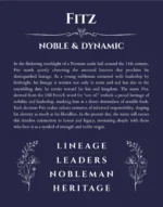 Fitz name origin print with meaning and traits in navy blue