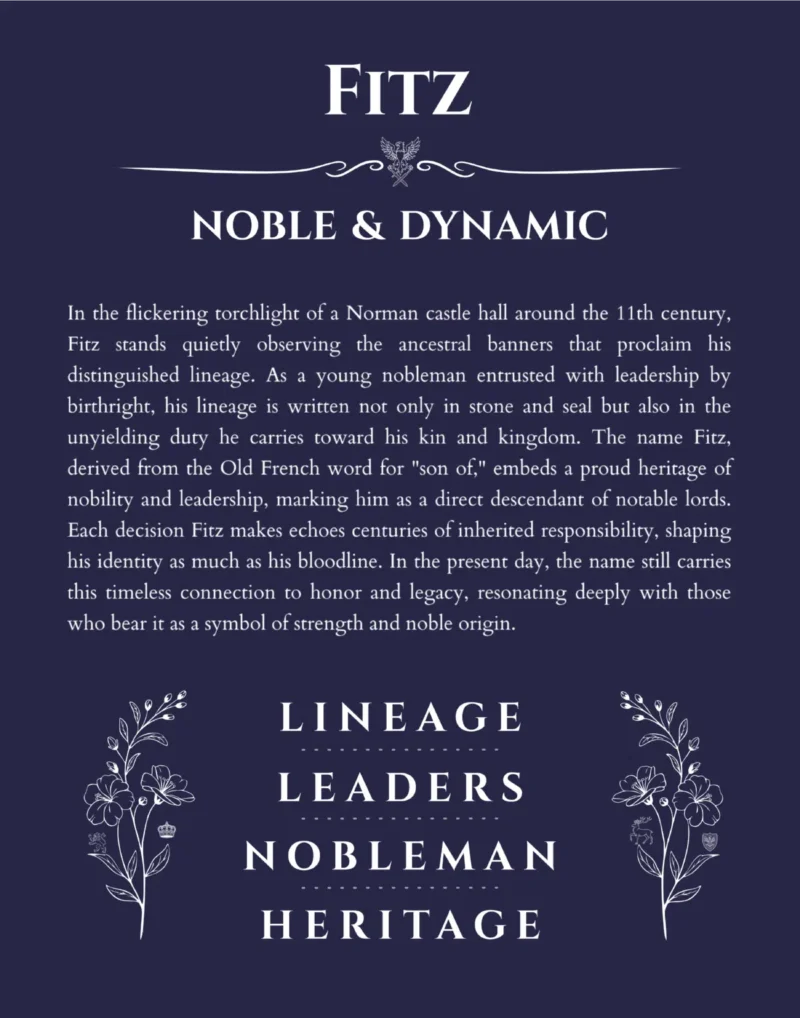 Fitz name origin print with meaning and traits in navy blue