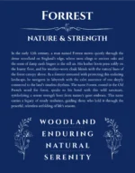 Forrest personalized name print with origin and traits in deep blue