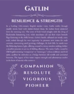 Gatlin personalized name print with origin and traits in purple