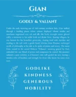 Gian custom name meaning print in blue