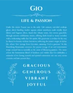 Gio custom name art showing meaning and origin in blue