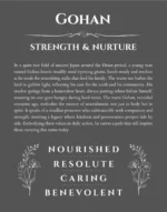 Gohan name origin print with meaning and traits in gray