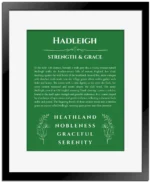 Hadleigh personalized name print with origin and traits in dark green with black matte frame