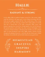 Hallie custom name print for wall display in orange