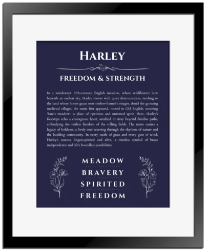 Harley custom name print for wall display in navy blue with black matte frame