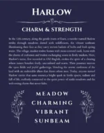 Harlow name meaning gift print in navy blue