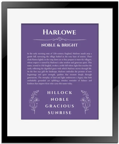Harlowe name meaning gift print in purple with black matte frame