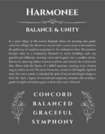 Harmonee personalized name art with origin story in gray