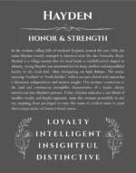 Hayden custom name art showing meaning and origin in gray