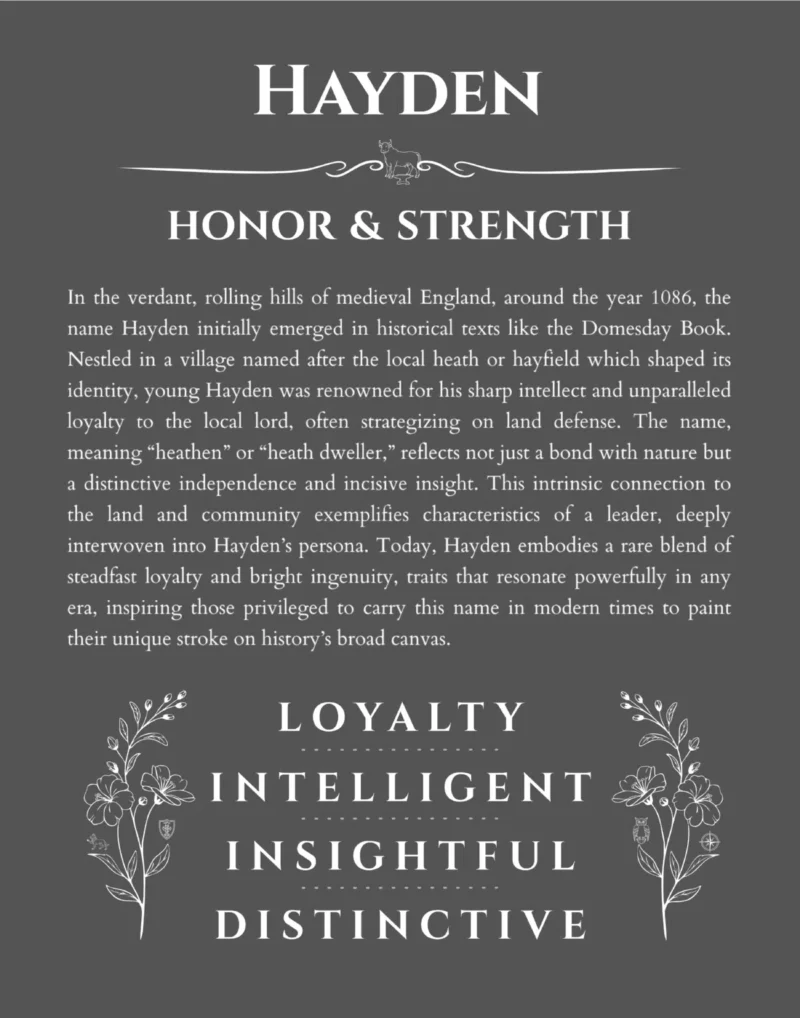 Hayden custom name art showing meaning and origin in gray