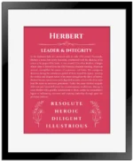 Herbert name meaning wall art by Get Your Story in red with black matte frame