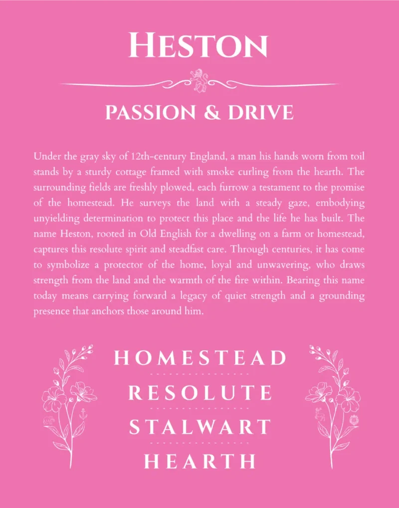 Heston name origin print with meaning and traits in pink