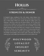 Hollis personalized name print with origin and traits in gray