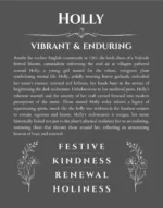 Holly personalized name print with origin and traits in gray