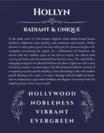 Hollyn custom name print for wall display in navy blue