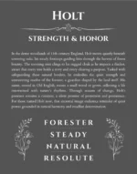 Holt personalized name print with origin and traits in gray