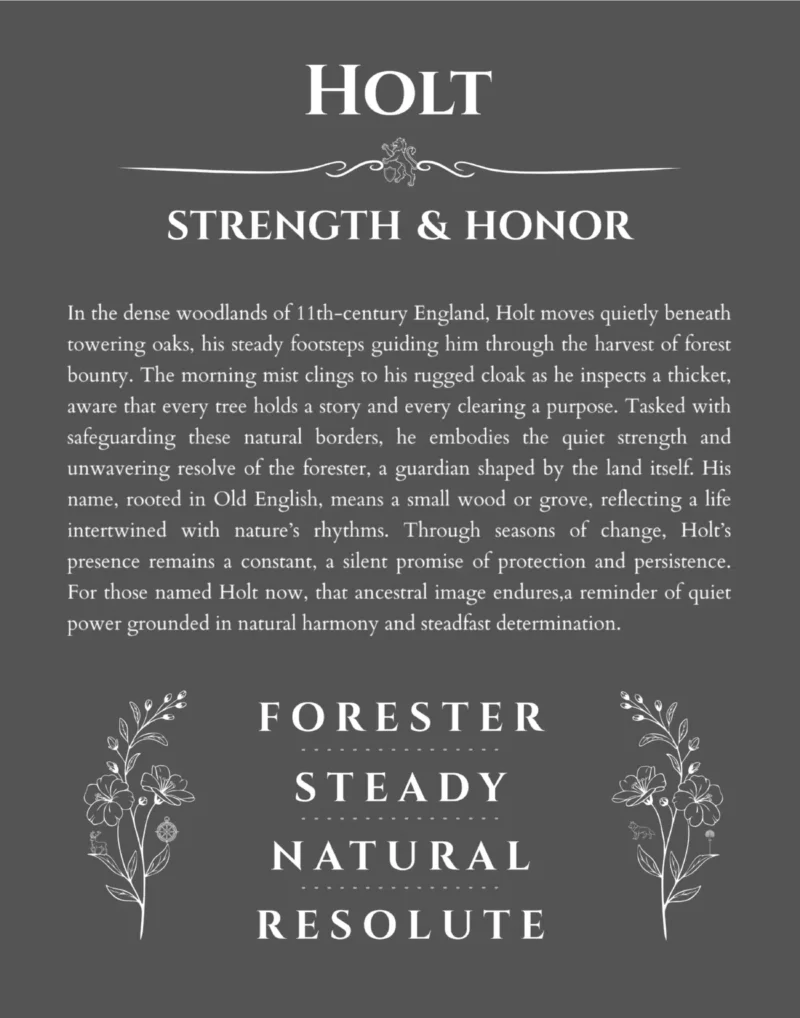 Holt personalized name print with origin and traits in gray