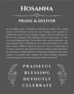 Hosanna personalized name art with origin story in gray