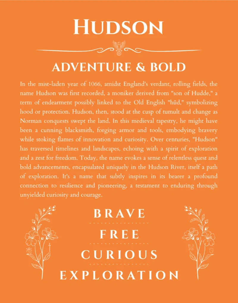 Hudson personalized name print with origin and traits in orange