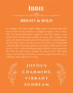 Ibbie personalized name print with origin and traits in orange