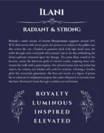 Ilani personalized name print with origin and traits in navy blue