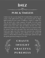 Inez personalized name art with origin story in gray