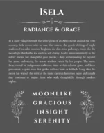Isela custom name art showing meaning and origin in gray