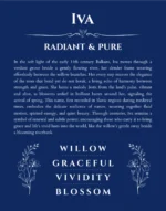 Iva personalized name art with origin story in deep blue