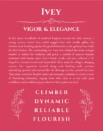 Ivey custom name print for wall display in red