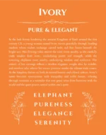 Ivory personalized wall art with the story of your name in orange