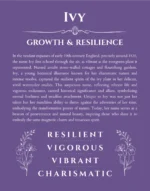 Ivy name origin print with meaning and traits in purple