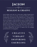Jaceon name meaning gift print in navy blue