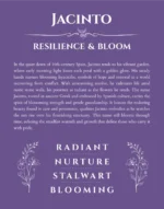 Jacinto personalized name meaning print in purple