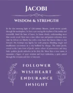 Jacobi name meaning wall art by Get Your Story in purple