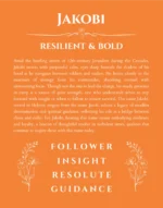 Jakobi personalized name meaning print in orange