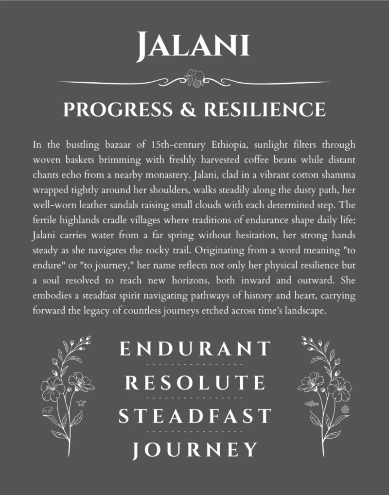Jalani personalized wall art with the story of your name in gray