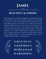 Jamel custom name art showing meaning and origin in deep blue