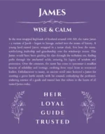 James personalized wall art with the story of your name in purple