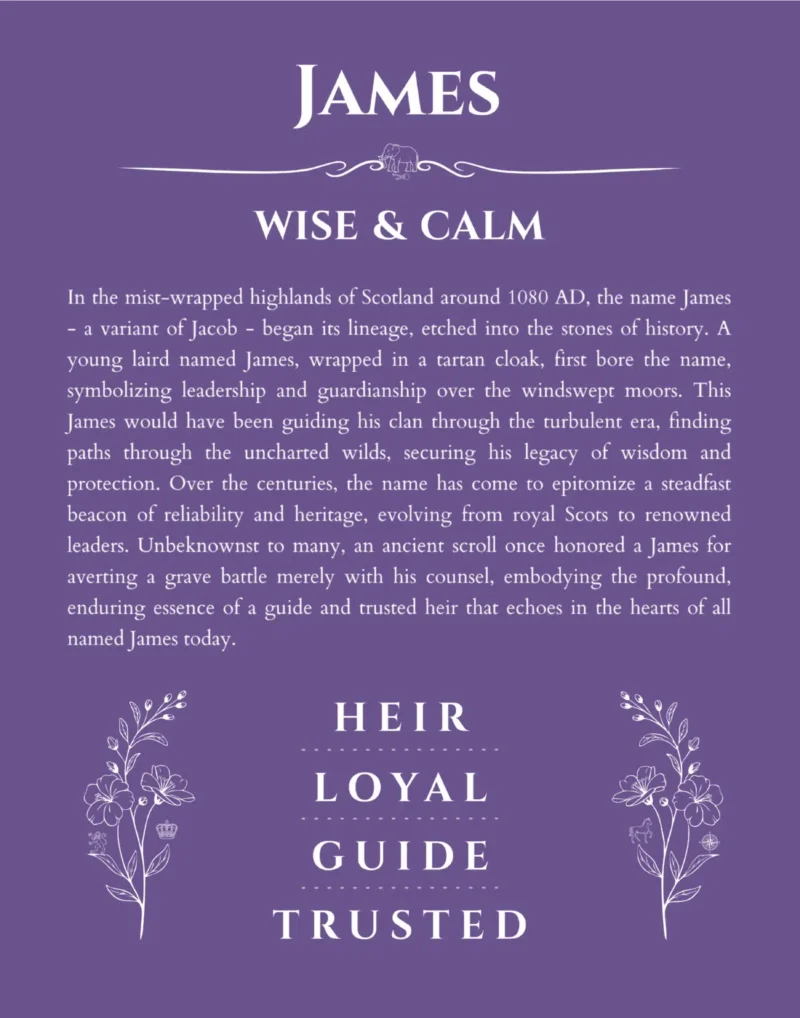 James personalized wall art with the story of your name in purple