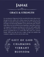 Janae name meaning gift print in navy blue