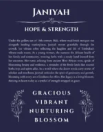 Janiyah personalized name art with origin story in navy blue