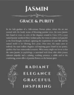 Jasmin custom name print for wall display in gray