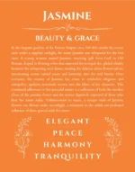 Jasmine name meaning wall art by Get Your Story in orange
