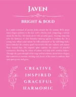Javen personalized wall art with the story of your name in pink