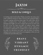 Jaxyn personalized name art with origin story in gray