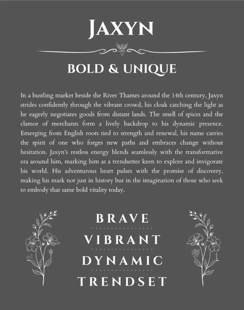 Jaxyn personalized name art with origin story in gray